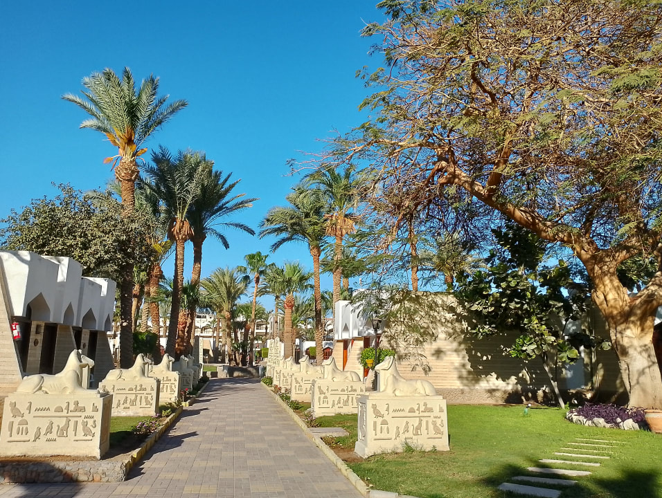 Gartenanlage Regina Resort and Aqua Park Hurghada