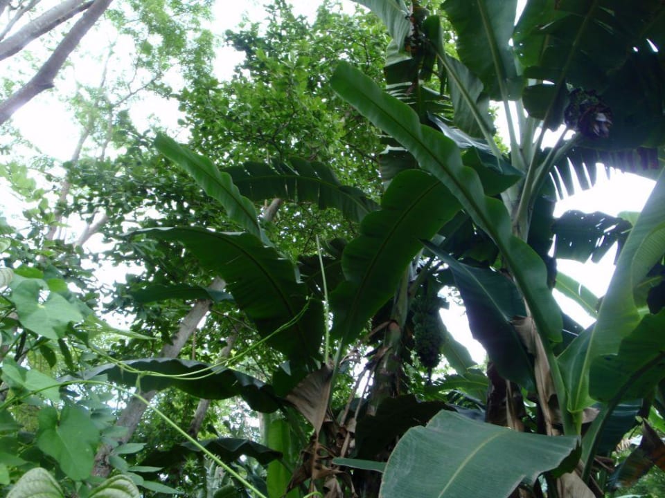 Garten Hotel Siladen Resort & Spa