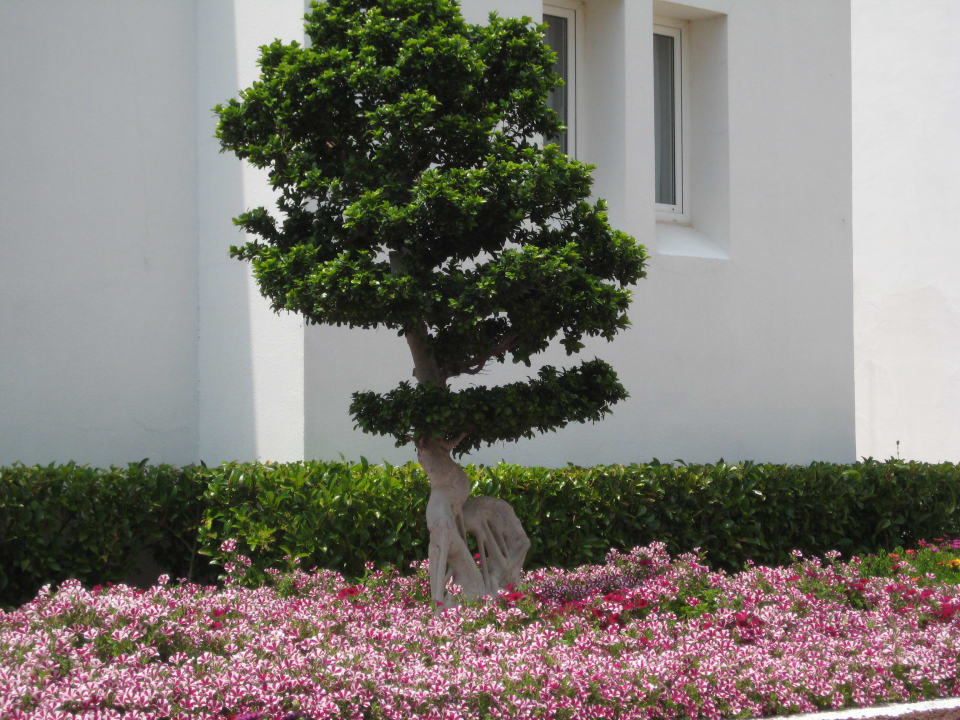 Gartenanlage Monachus Family Resort Sorgun