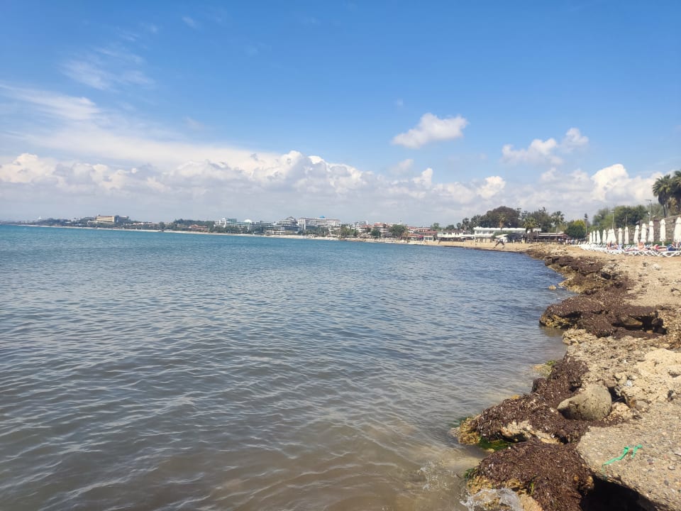 Strand Can Garden Beach