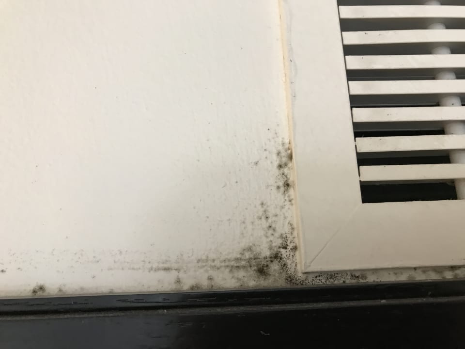 Zimmer H10 Rubicón Horizons Collection