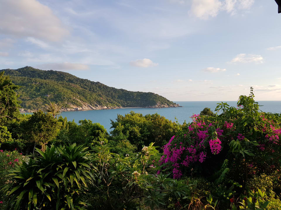 Garten Hotel Cocohut Beach Resort