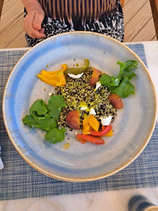 Gastro JAZ Elite Amara