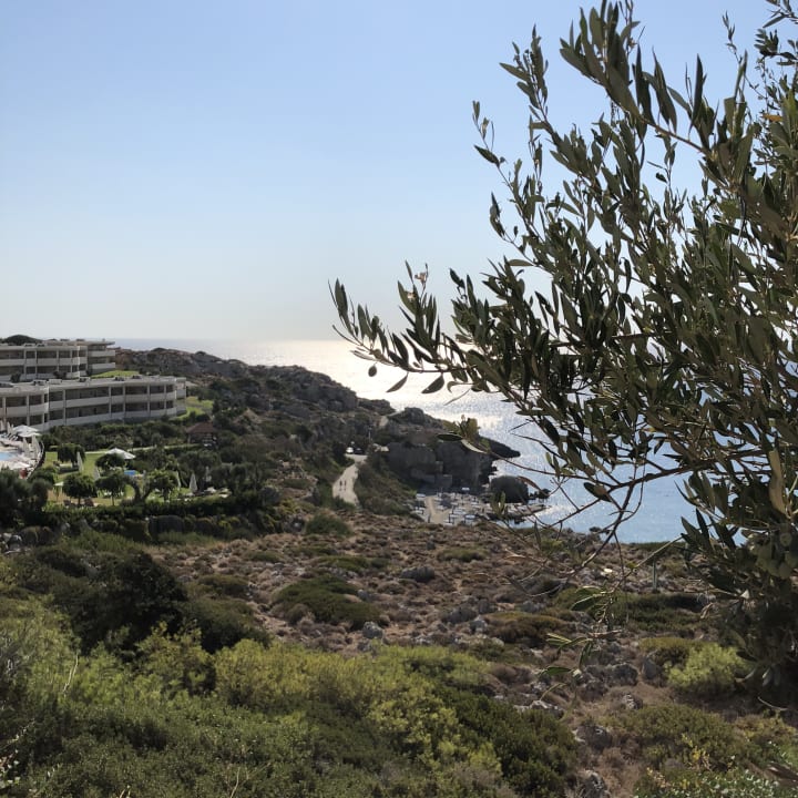 Außenansicht Hotel Kalithea Horizon Royal