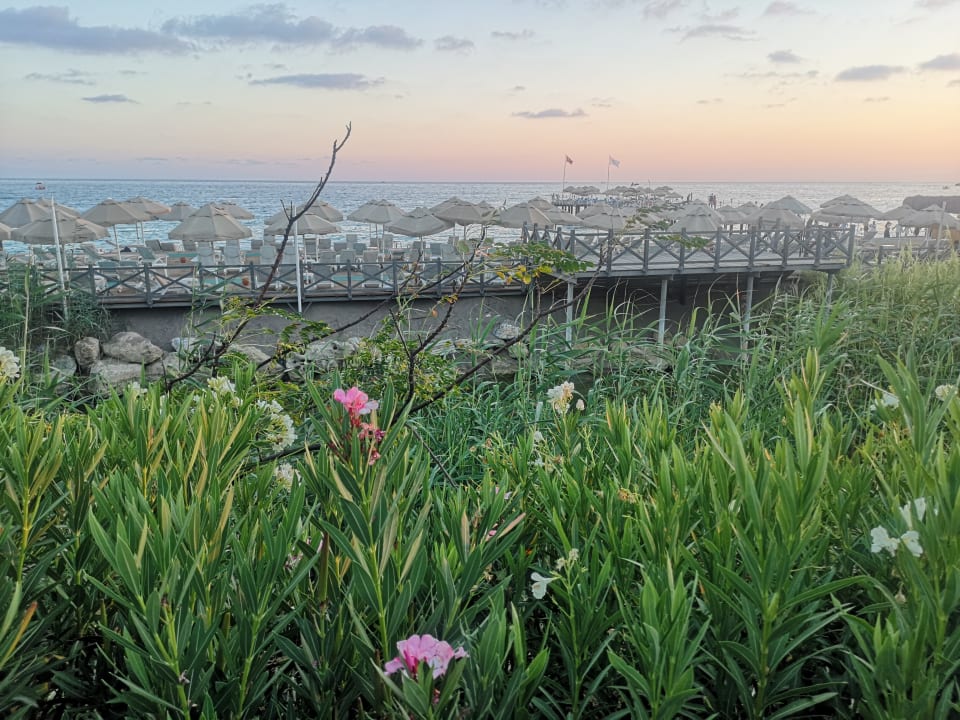 Strand Starlight Resort Hotel