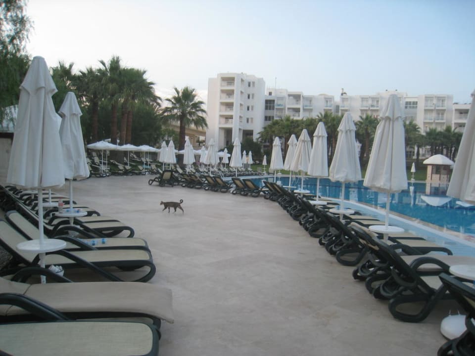 Am Abend Monachus Family Resort Sorgun