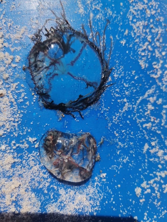 Sonstiges Hotel Neptunia Skanes