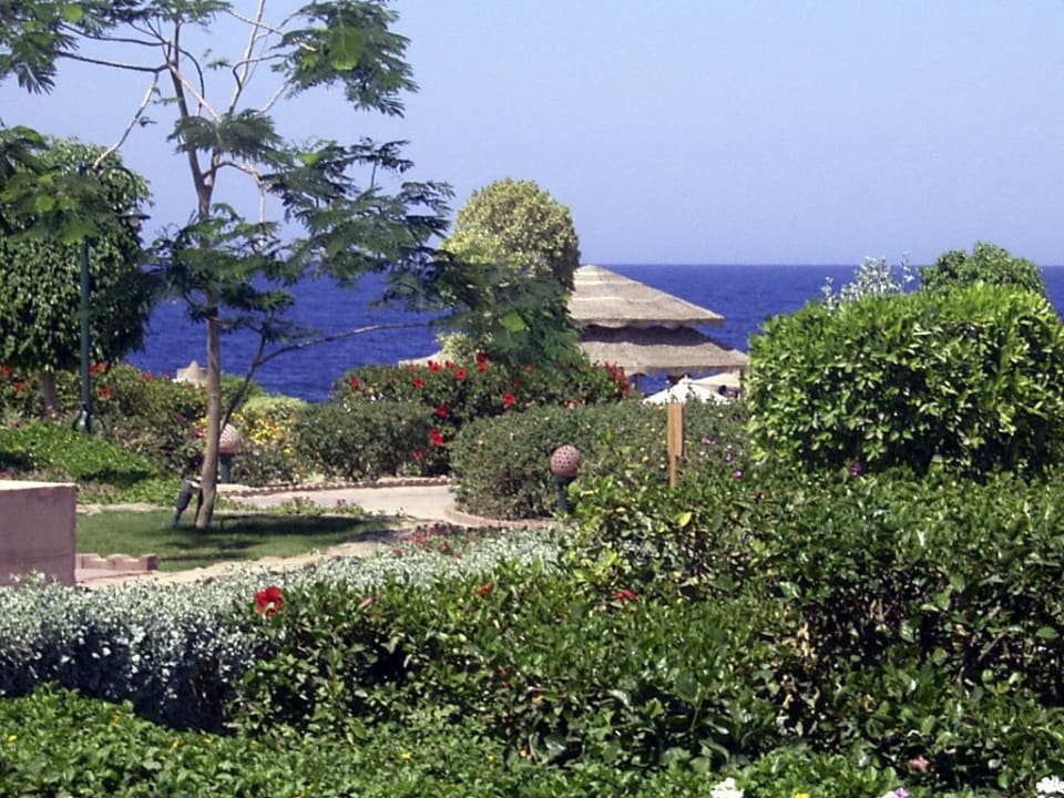 Hotelanlage im Grünen Sentido Akassia Beach