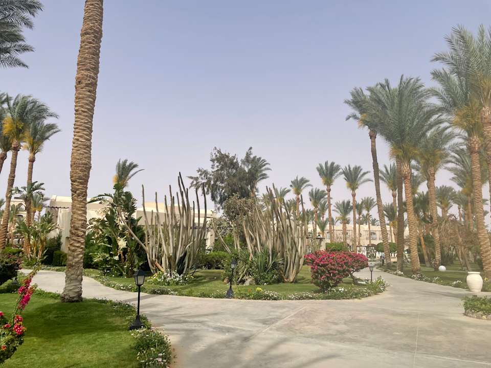Gartenanlage Jaz Makadi Oasis Resort
