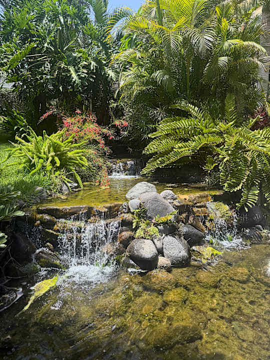 Gartenanlage allsun Hotel Lucana