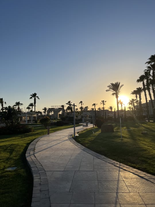 Ausblick Beach Albatros Resort