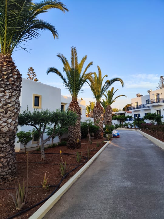 Außenansicht TUI SUNEO Chrissi Amoudia