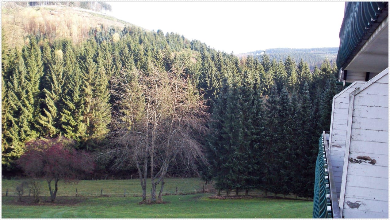 Ausblick vom Balkon Hotel Gut Vorwald