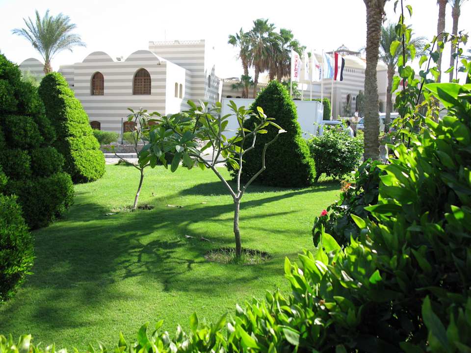 Сад по дороге к морю Jaz Makadi Oasis Resort