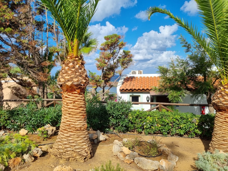 Gartenanlage Iberostar Selection Creta Marine