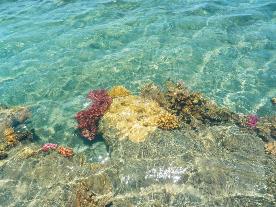 Море Shams Alam Beach Resort