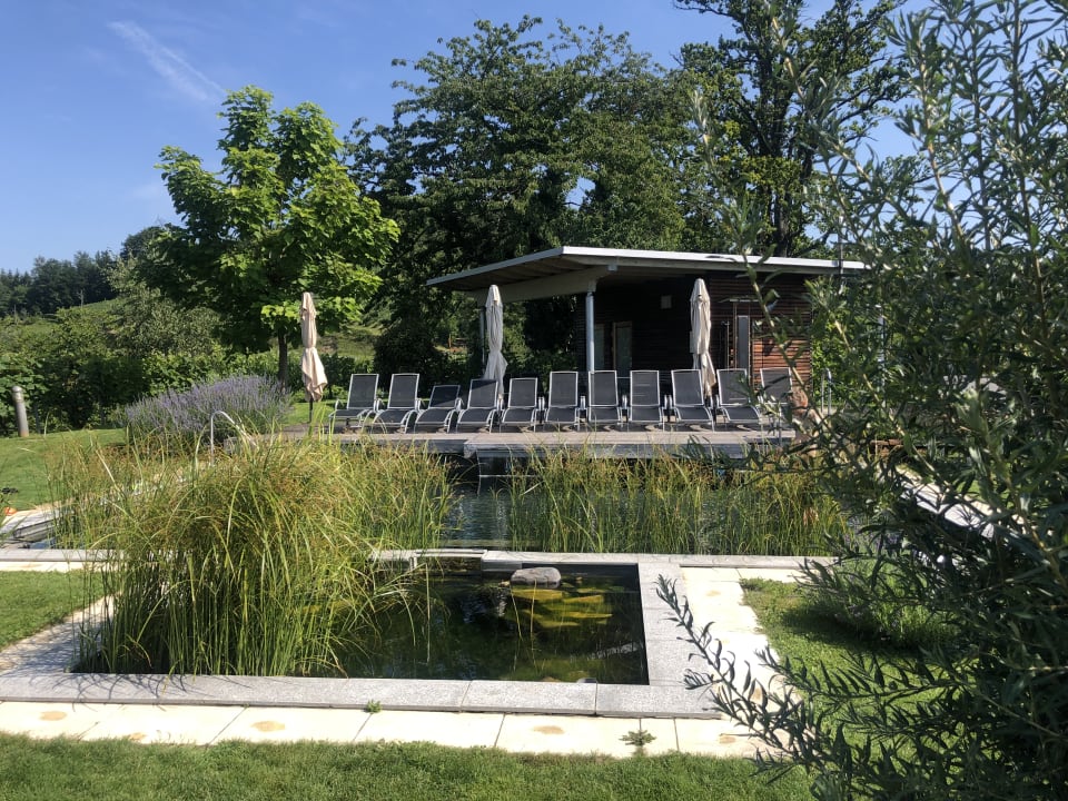 Zimmer Kollerhof am Eichberg