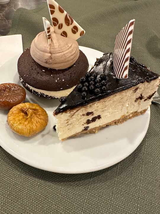 Gastro Maxeria Blue Didyma