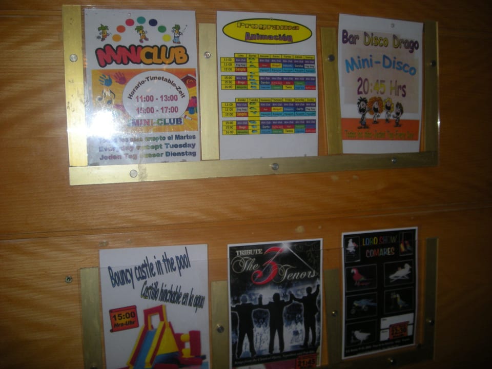 Propozycje animacjii i show GF FANABE