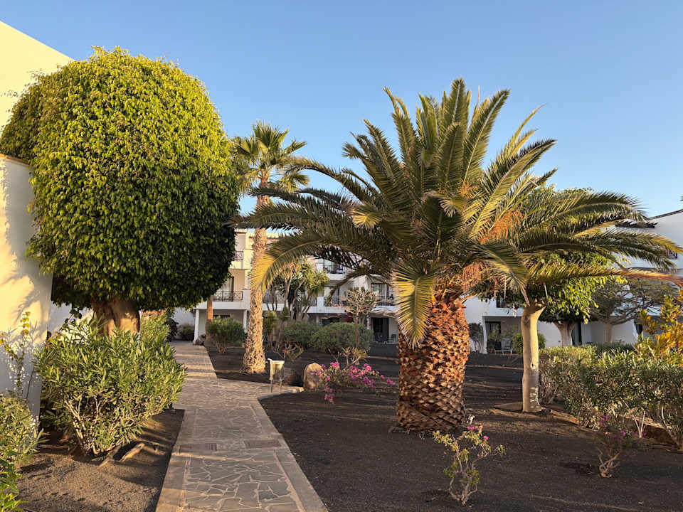 Gartenanlage allsun App.-Hotel Albatros