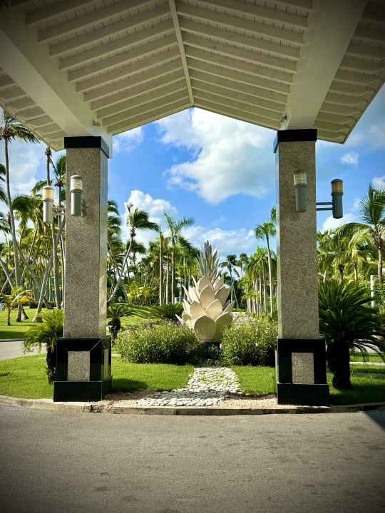 Gartenanlage Hotel Riu Palace Macao - Adults only