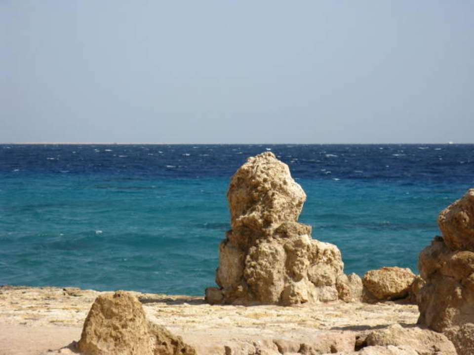 Viele Korallenskulpturen Pickalbatros Citadel Resort