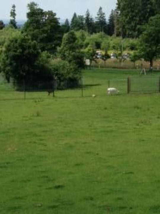 Tiere Wildpark Hotel