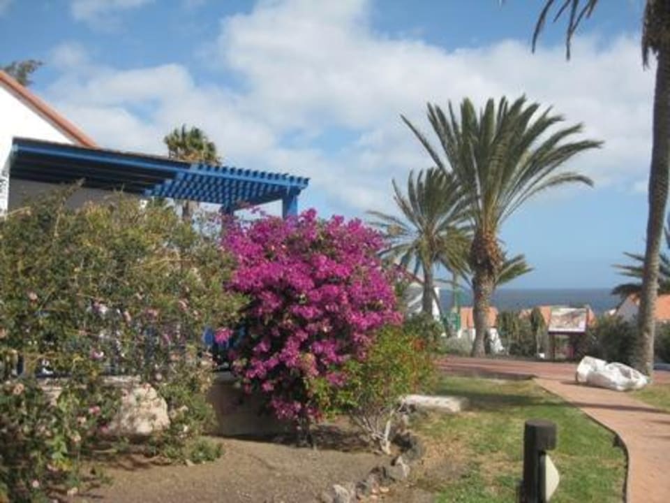 Aldiana Aldiana Club Fuerteventura