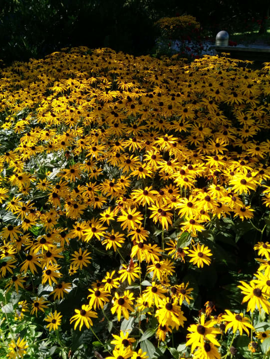 Gartenanlage Santé Royale Warmbad Wolkenstein