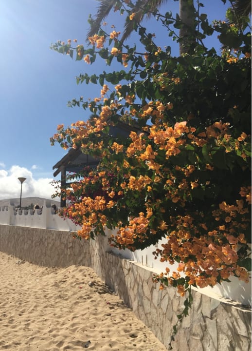 Strand SBH Costa Calma Beach Resort