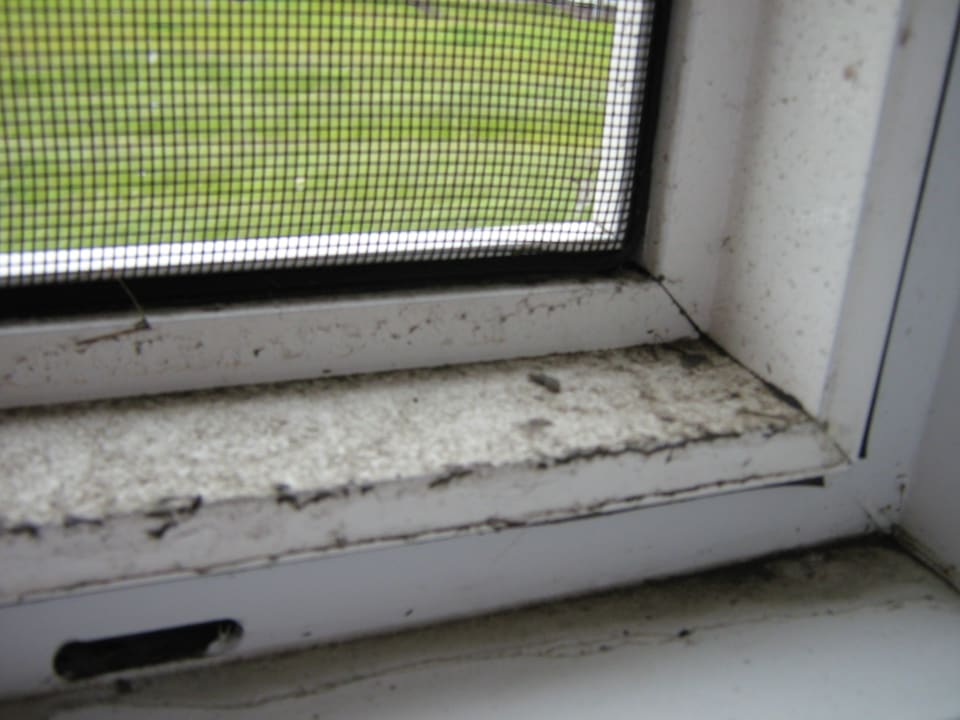 Zimmer Dormio Strand Resort Nieuwvliet-Bad