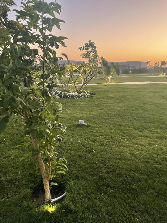Gartenanlage Steigenberger Resort Ras Soma