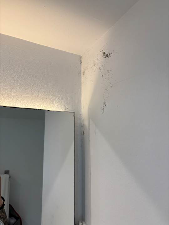 Zimmer Balansat Resort