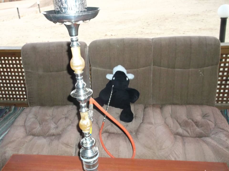 Das schwarze Schaf der Familie on Tour Three Corners Happy Life Beach Resort