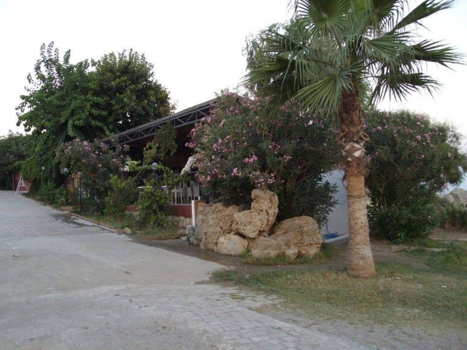 Snackbar Hotel Club Life Kizilot