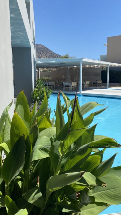 Gastro Akti Palace Resort & Spa