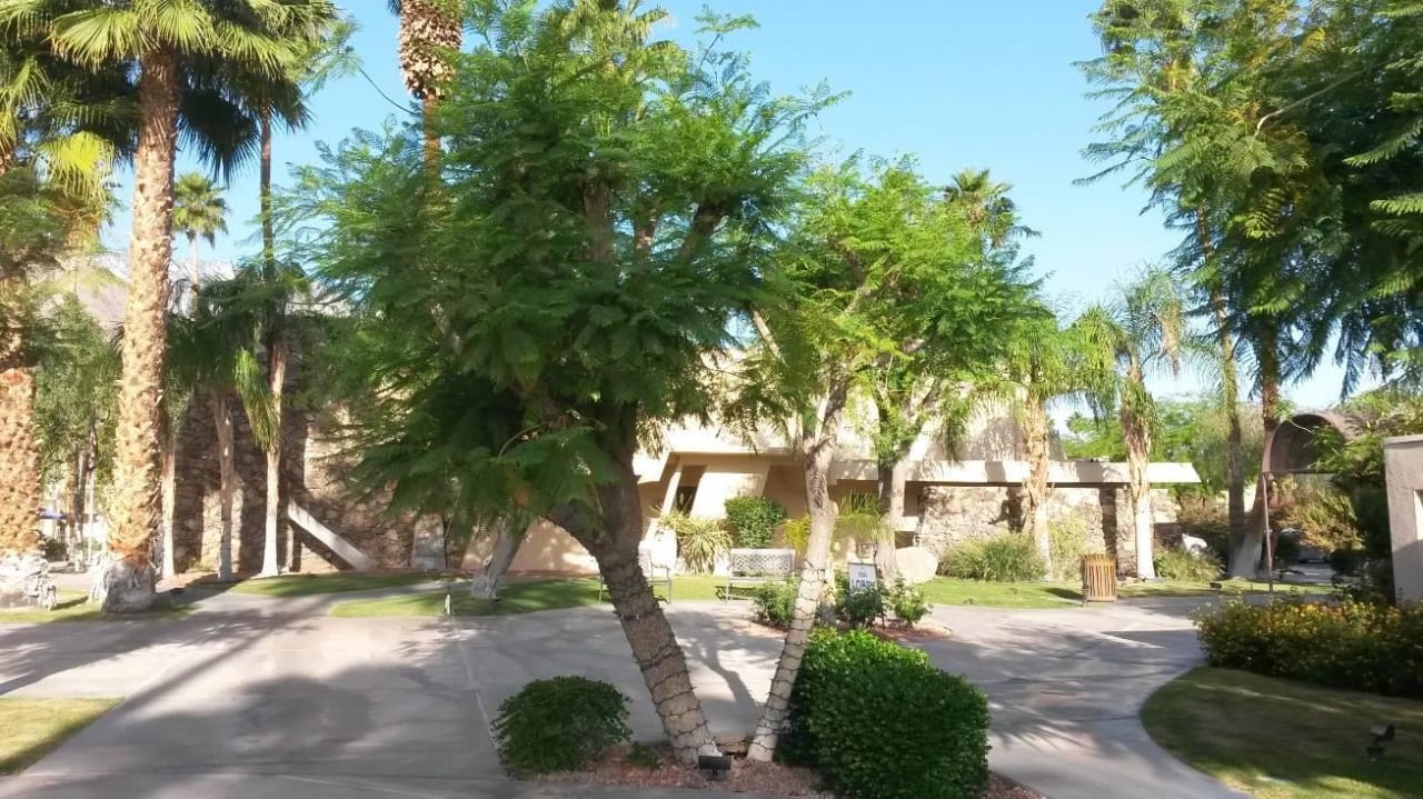 Gartenanlage Hotel Days Inn Palm Springs