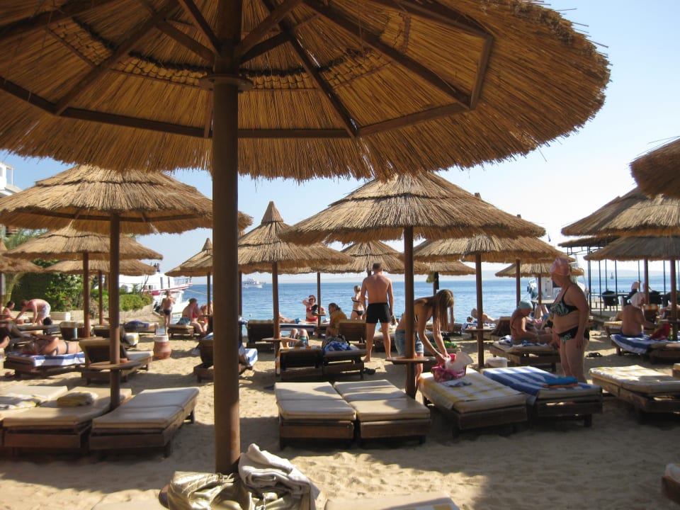 Na pláži Seagull Beach Resort