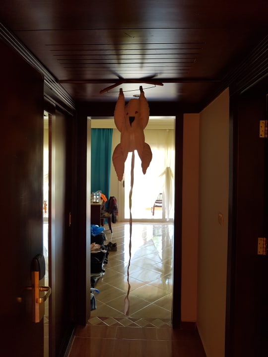 Zimmer Malikia Resort Abu Dabbab