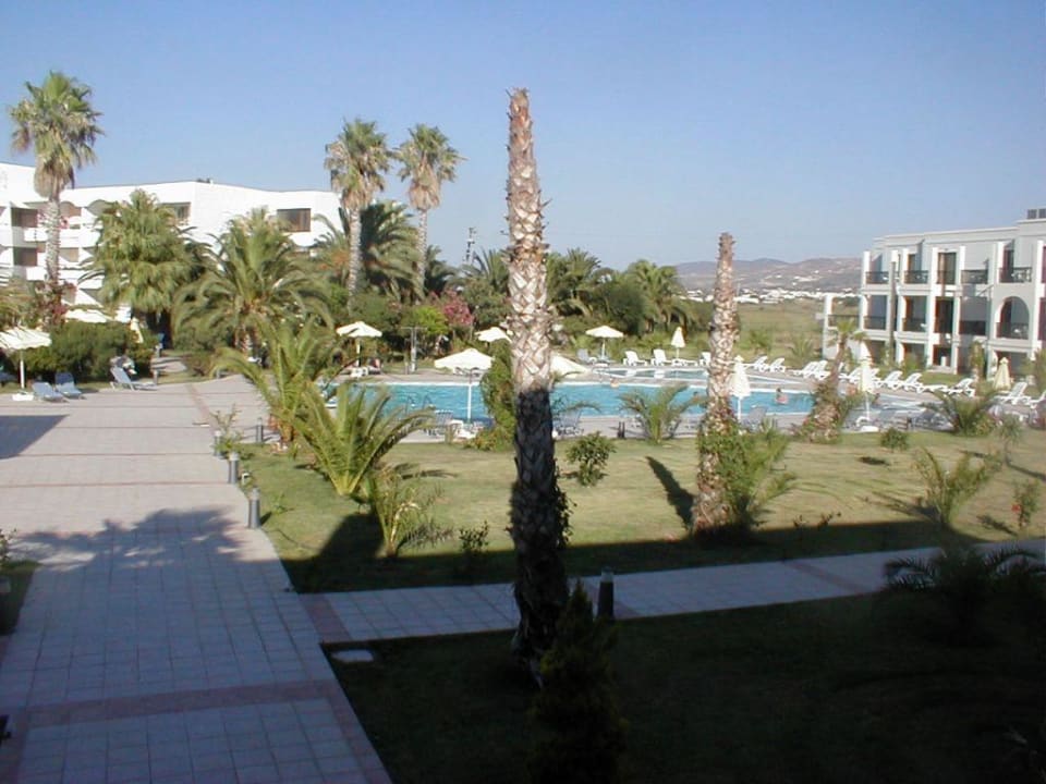 Ein Teil der Poollandschaft Hotel Tigaki Beach
