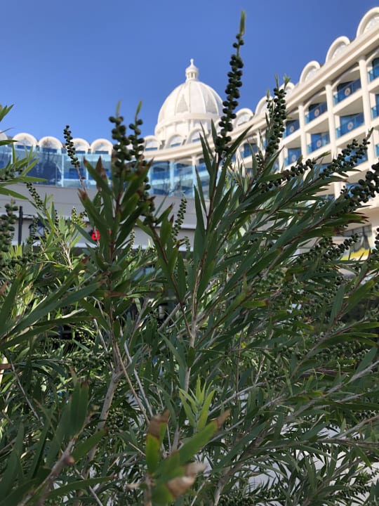 Gartenanlage Adalya Elite Lara