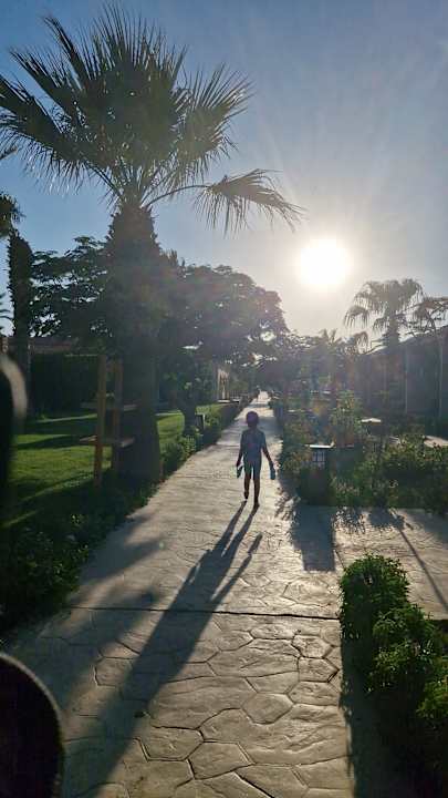 Gartenanlage Aladdin Beach Resort