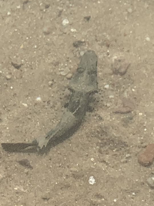 Strand SUNRISE Crystal Bay Resort