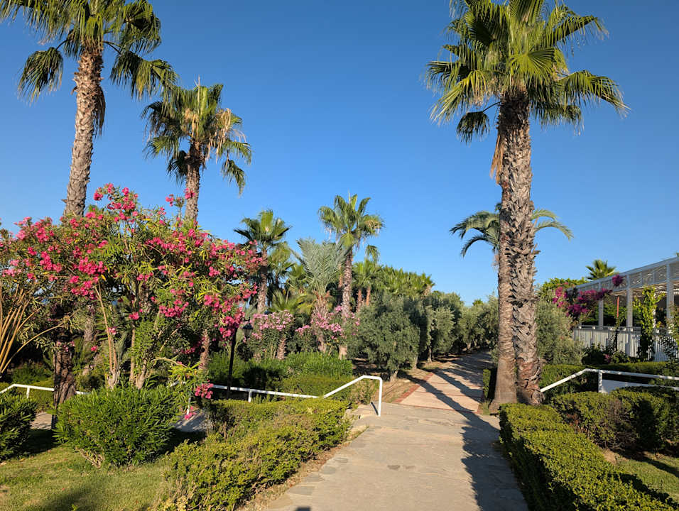 Gartenanlage Alba Queen Hotel