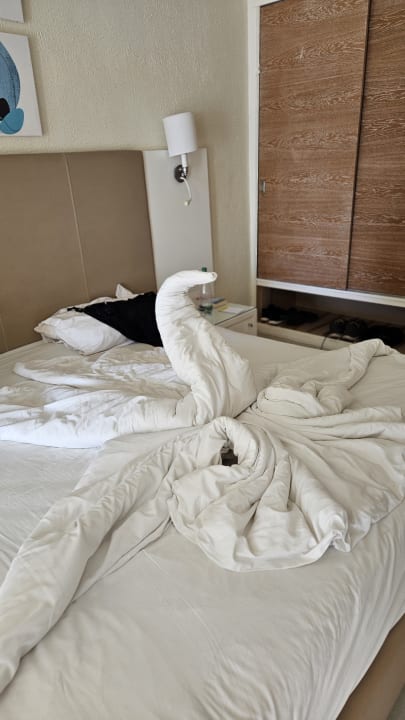 Zimmer TUI MAGIC LIFE Penelope Beach