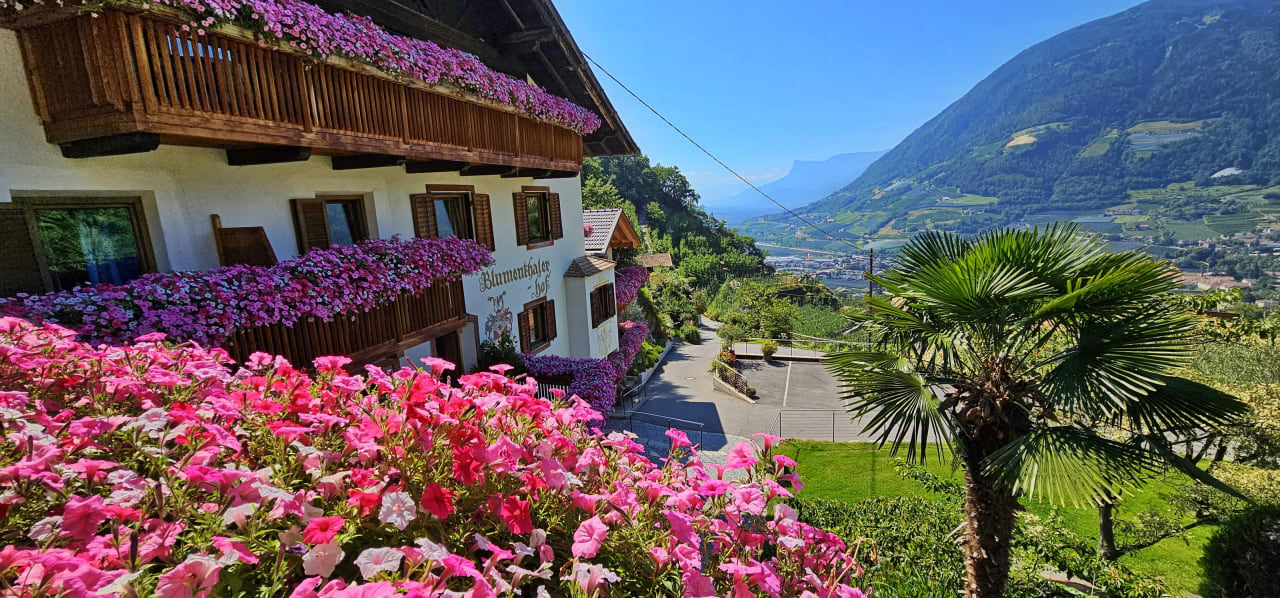 Ausblick Residence Pension Blumenthalerhof