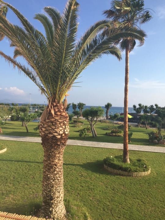 Hotel Lakitira Resort Atlantica Beach Resort Kos