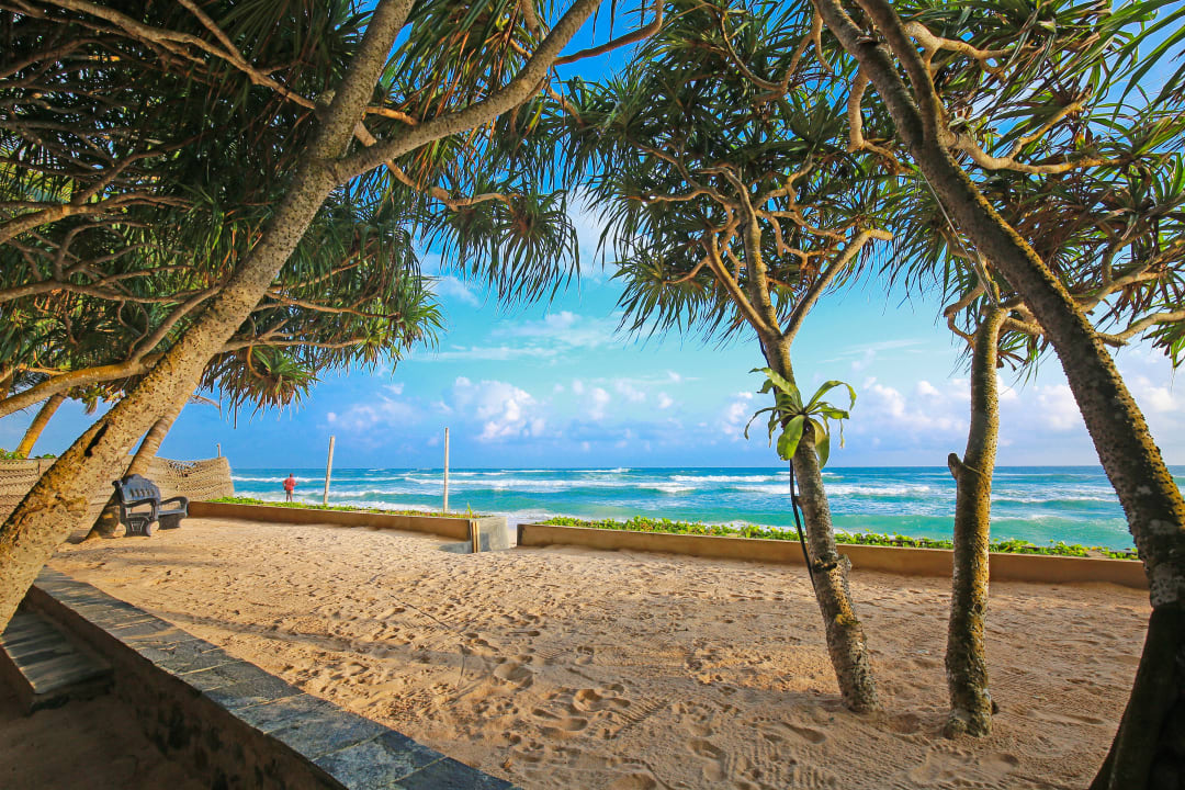 Ausblick Hotel Haus am Meer Wilde Ananas