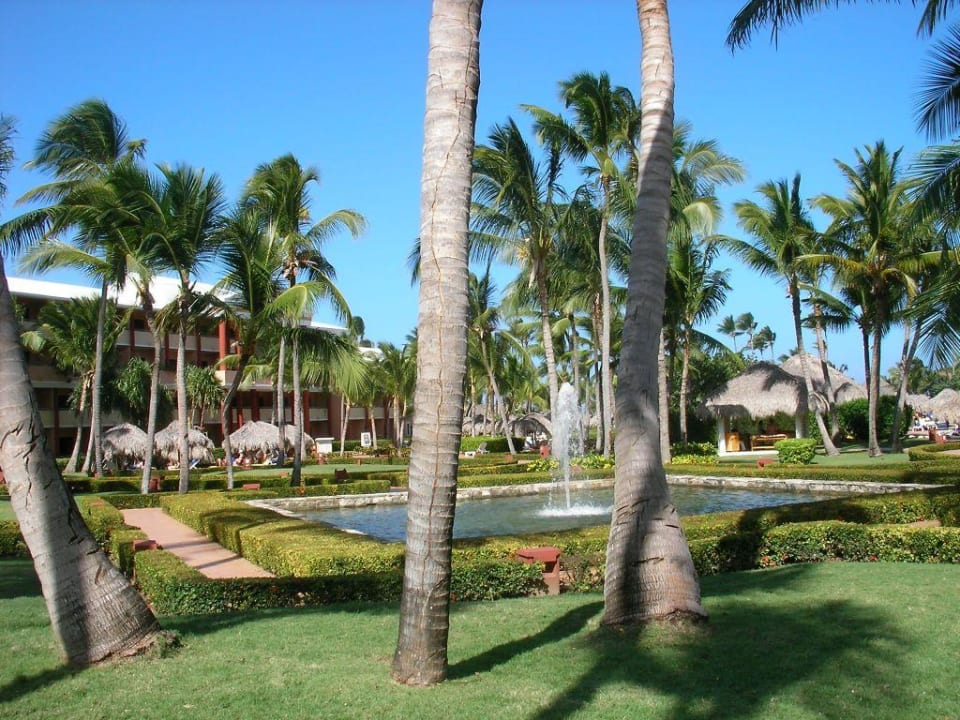 Gartenanlage, im Hintergrund Haus 5 Iberostar Waves Punta Cana