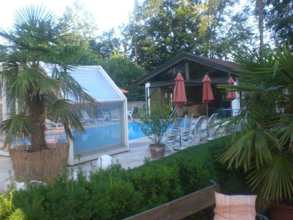 Pool mit Palmen Hotel Garni Buchenhof